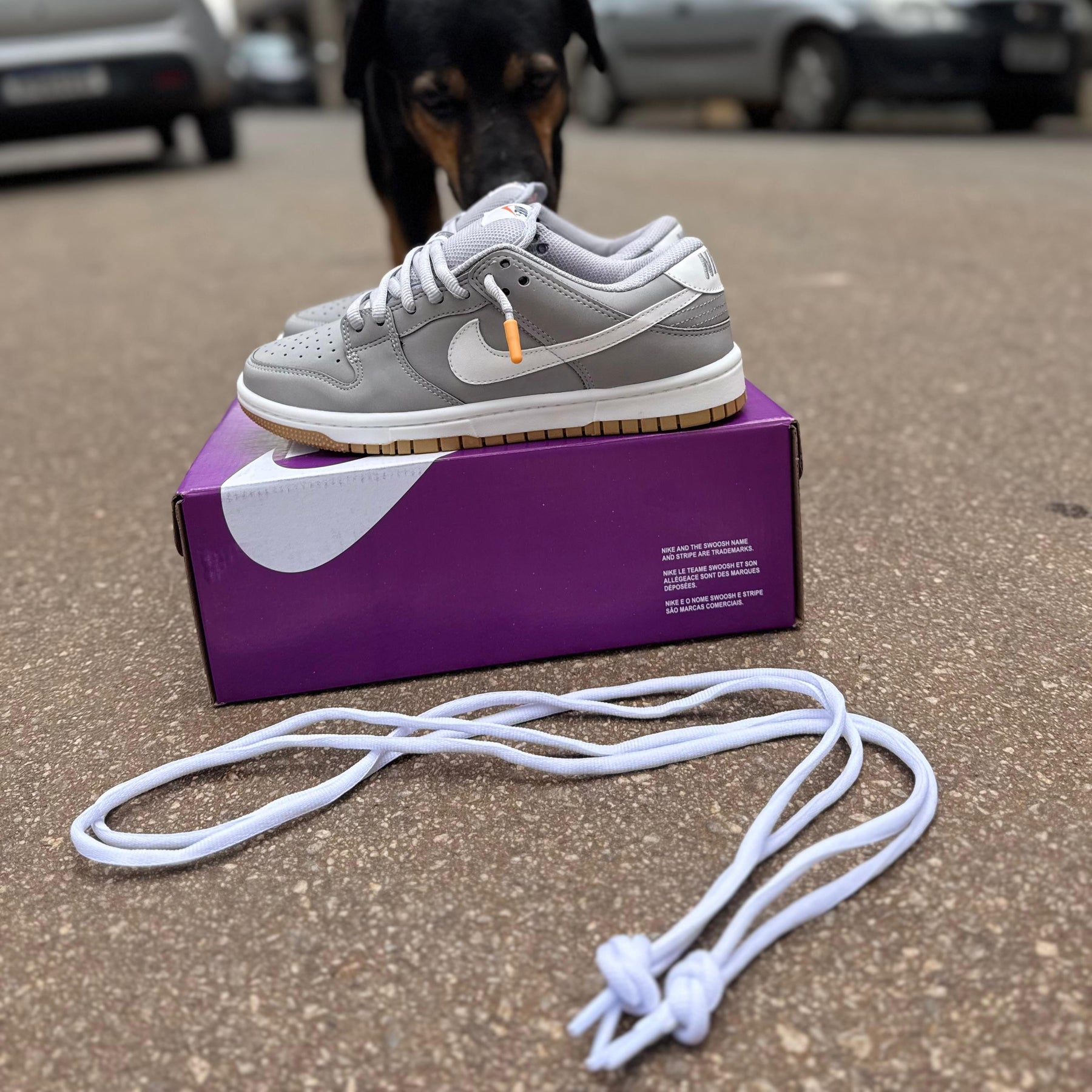 Tênis SB Dunk Linha Prime - Grey Gum